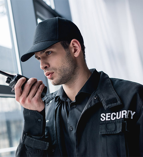 Security-and-Surveillance-gallery-image2