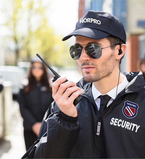 Security-and-Surveillance-gallery-image3